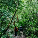 西双版纳基诺山巴朵幽谷雨林徒步 - 西双版纳傣族自治州旅游 缩略图 2