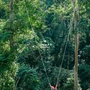 西双版纳基诺山巴朵幽谷雨林徒步 - 西双版纳傣族自治州旅游 缩略图 6