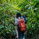 西双版纳基诺山巴朵幽谷雨林徒步 - 西双版纳傣族自治州旅游 缩略图 8