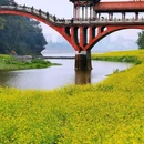 乐山广场 - 乐山市旅游 缩略图 1