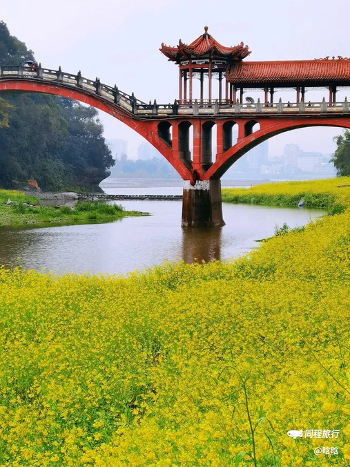 乐山广场 - 乐山市旅游