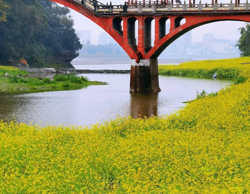 乐山广场 - 乐山市旅游 1
