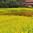 乐山广场 - 乐山市旅游 缩略图 6