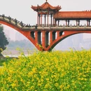 乐山广场 - 乐山市旅游 缩略图 9