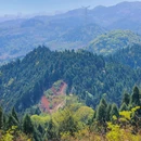 樱桃观景台 - 眉山市旅游 缩略图 3