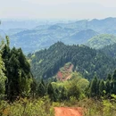 樱桃观景台 - 眉山市旅游 缩略图 6