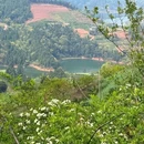 樱桃观景台 - 眉山市旅游 缩略图 9