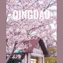 青岛中山公园 - 青岛市旅游 缩略图 1