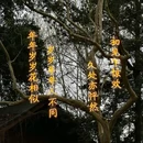 富山庭院 - 成都旅游 缩略图 9