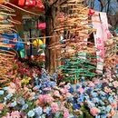 日坛公园 - 北京旅游 缩略图 6