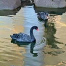 罗红摄影艺术馆 - 北京市旅游 缩略图 5