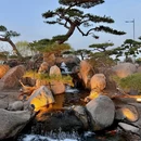 罗红摄影艺术馆 - 北京市旅游 缩略图 9