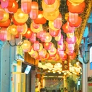 安庆古城·倒扒狮历史文化街区 - 安庆市旅游 缩略图 5