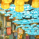 安庆古城·倒扒狮历史文化街区 - 安庆市旅游 缩略图 7
