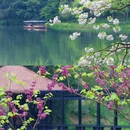 杭州西湖风景名胜区-乌龟潭景区 - 杭州市旅游 缩略图 5