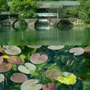 杭州西湖风景名胜区-乌龟潭景区 - 杭州市旅游 缩略图 2