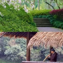 杭州西湖风景名胜区-乌龟潭景区 - 杭州市旅游 缩略图 4