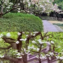 杭州西湖风景名胜区-乌龟潭景区 - 杭州市旅游 缩略图 8