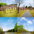 北京雁栖湖西山步道停车点 - 北京市旅游 缩略图 5