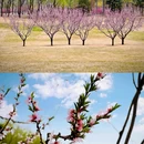 北京雁栖湖西山步道停车点 - 北京市旅游 缩略图 6