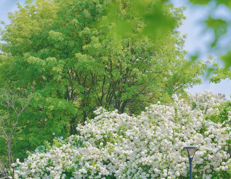 CBD公园 - 杭州市旅游 1