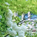 CBD公园 - 杭州市旅游 缩略图 7