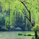扬州大运河文化旅游度假区·宋夹城体育休闲公园 - 扬州市旅游 缩略图 9