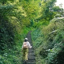 青城山花郡·萤溪谷温泉酒店 - 成都市旅游 缩略图 1