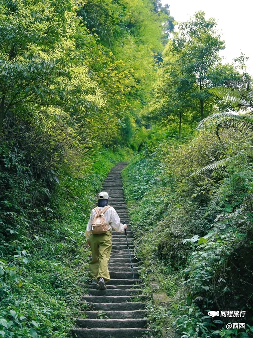 青城山花郡·萤溪谷温泉酒店 - 成都市旅游