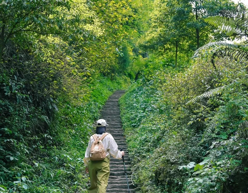 青城山花郡·萤溪谷温泉酒店 - 成都市旅游 1
