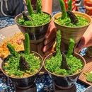 苍山云贵Bistro(万象天地店) - 上海市旅游 缩略图 9