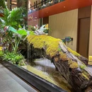 鮰味餐厅(菱角湖店) - 武汉市旅游 缩略图 7