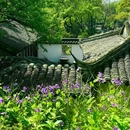 虎丘山风景名胜区 - 苏州市旅游 缩略图 9