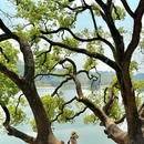 同沙生态公园 - 东莞市旅游 缩略图 5