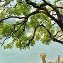 同沙生态公园 - 东莞市旅游 缩略图 3