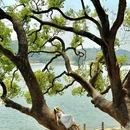同沙生态公园 - 东莞市旅游 缩略图 2
