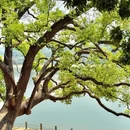 同沙生态公园 - 东莞市旅游 缩略图 7