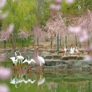 南京银杏湖乐园-检票口 - 南京市旅游 缩略图 6