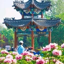 曹州牡丹园 - 菏泽市旅游 缩略图 3