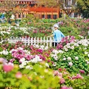 曹州牡丹园 - 菏泽市旅游 缩略图 1