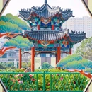 曹州牡丹园 - 菏泽市旅游 缩略图 5