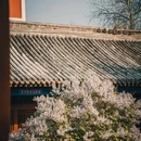 雍和宫 - 北京市旅游 缩略图 5