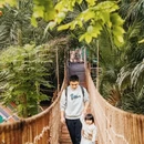 呀路古热带植物园 - 北京市旅游 缩略图 1