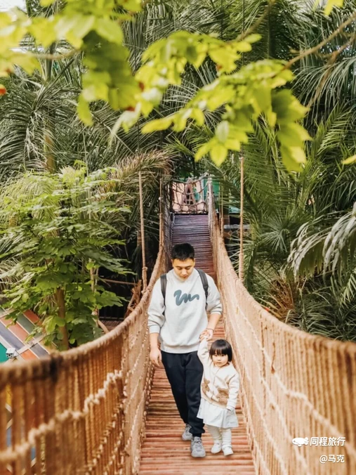 呀路古热带植物园 - 北京市旅游