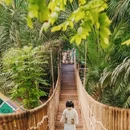 呀路古热带植物园 - 北京市旅游 缩略图 3