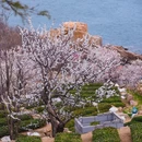 仰口游览区 - 青岛市旅游 缩略图 7