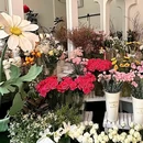 SEASONS四季与你(汇嘉商务大楼店) - 温州市旅游 缩略图 7