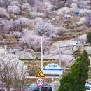 仰口游览区 - 青岛市旅游 缩略图 3