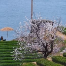 仰口游览区 - 青岛市旅游 缩略图 5