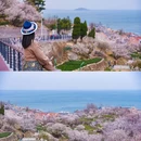 仰口游览区 - 青岛市旅游 缩略图 4